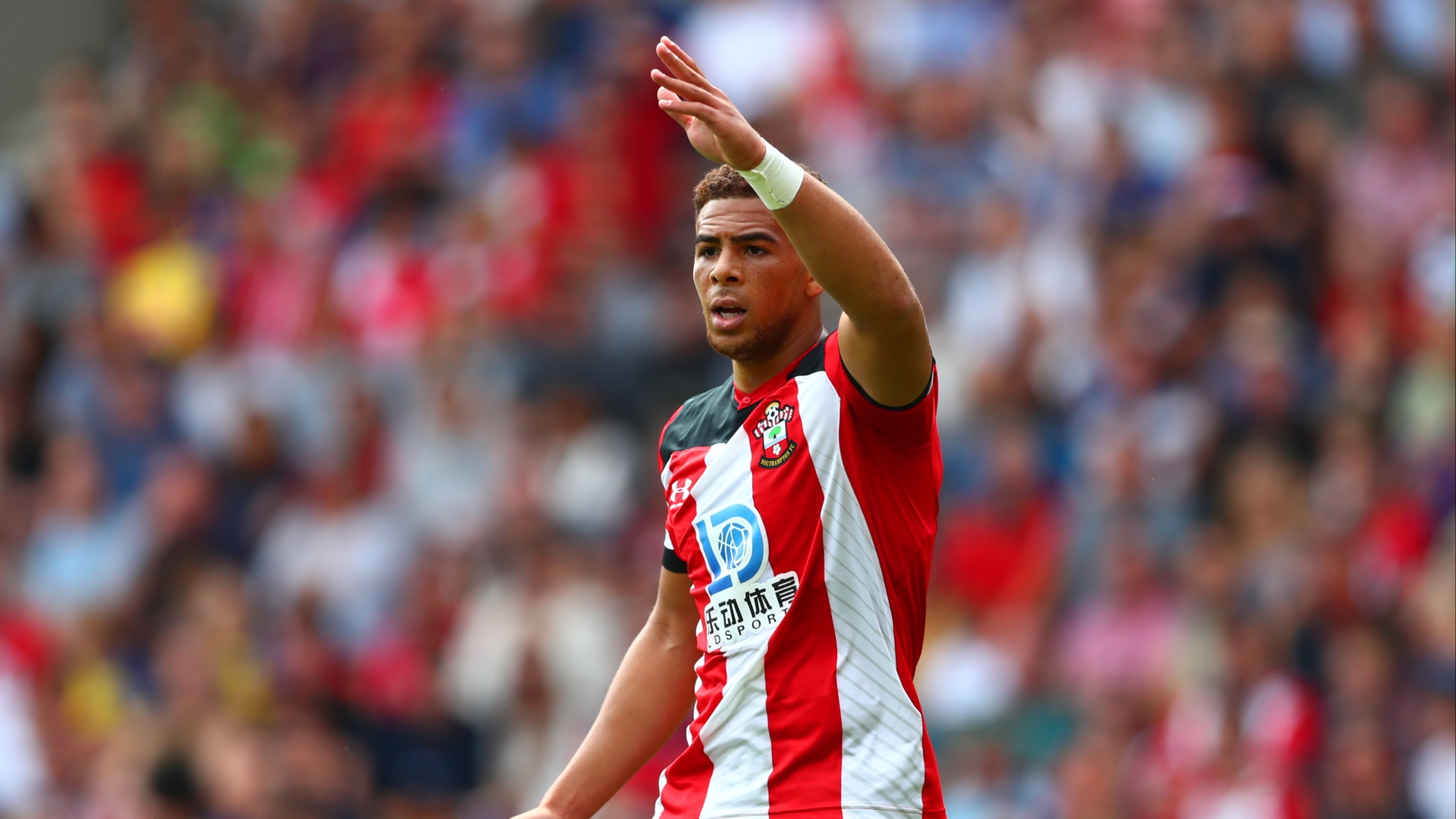 Southampton Vs Watford Predictions Tips Saints Home Winning Streak