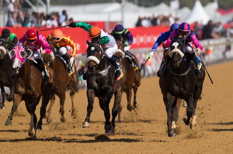 2020 Durban July Handicap date and schedule - When does the 2020 Durban ...