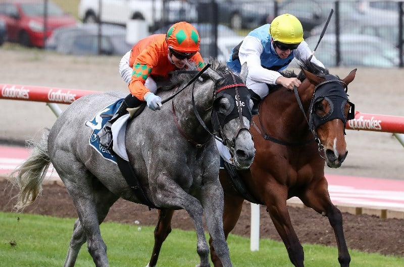 Moonee Valley Racing Tips For 20 December 2019 - Can High Excalebration ...