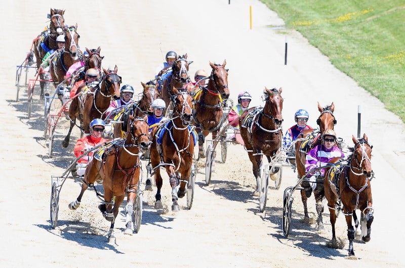 Greyhound & Harness Racing to debut on Saturday mornings in Victoria