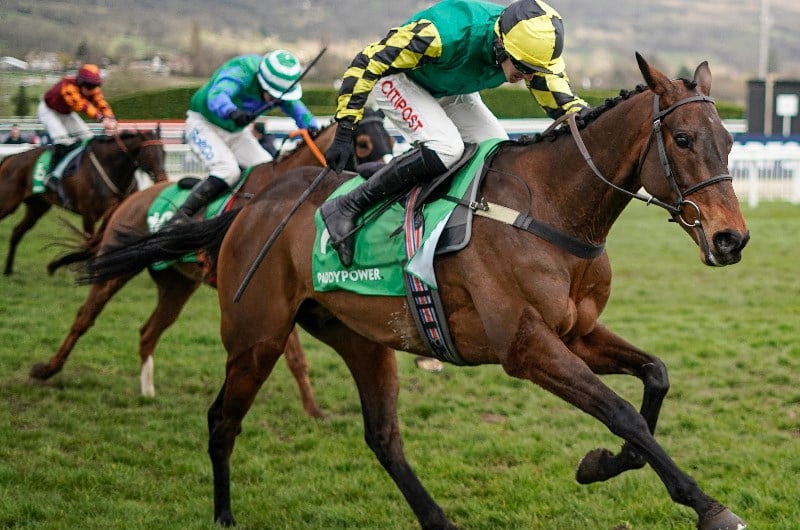 2021 Stayers' Hurdle Odds and Tips 25/1 shot worth a second chance on