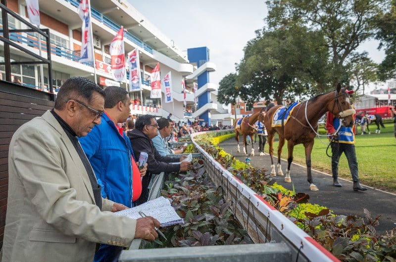 2020 Durban July Betting Options Best Bookmakers South Africa