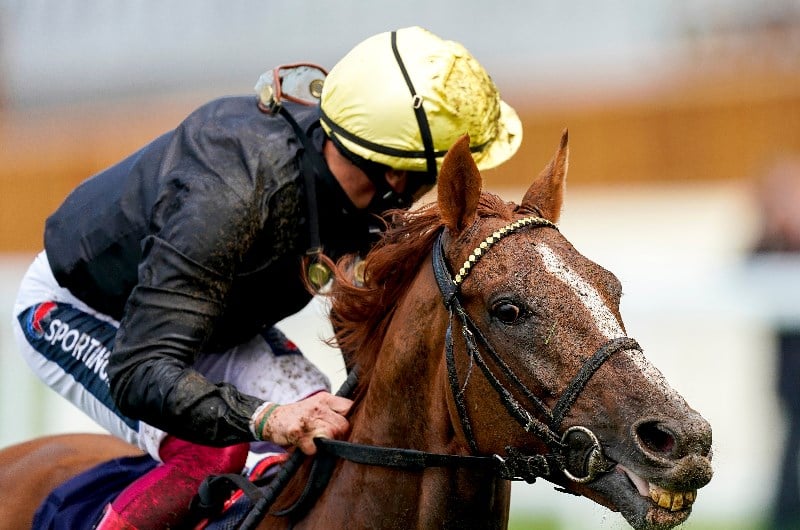 stradivarius-to-run-in-this-year-s-prix-de-l-arc-de-triomphe