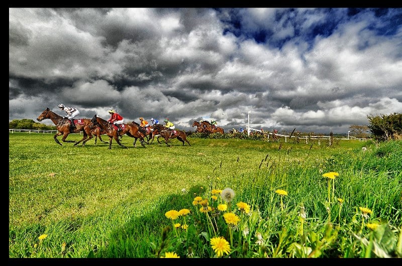 2020 Galway Festival Tips | Three horses to back on Sunday 2nd August.