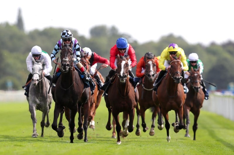 Expert Tips Newspaper Tips On Day Three Of The Ebor Festival On 