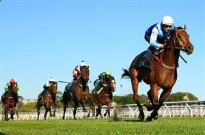 Farnan Dominant in Randwick Trial