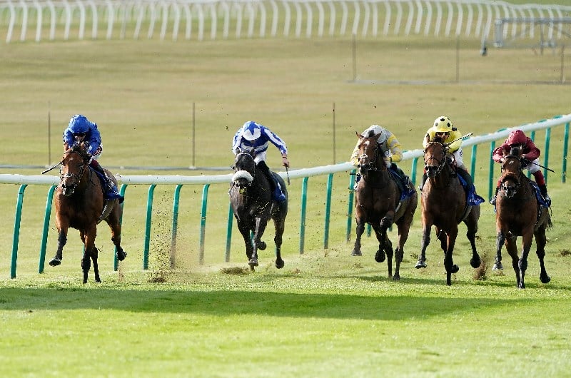 newspaper-racing-tips-for-today-newmarket-tips-from-the-newspaper