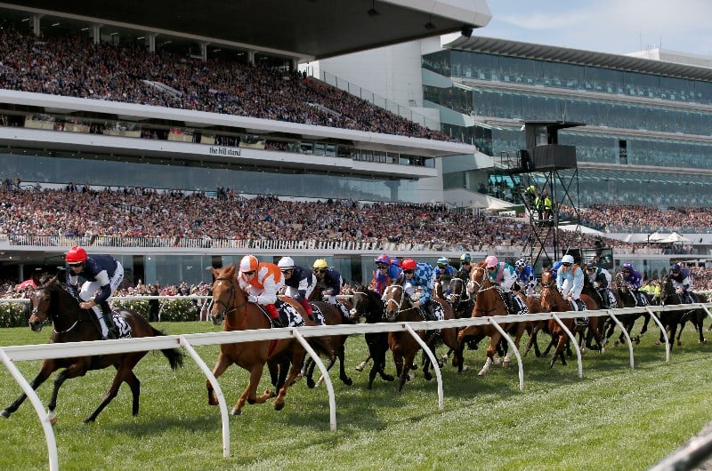 2020 Melbourne Cup Runner-By-Runner Guide - Assessing the chances of ...