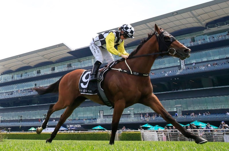 Big Melbourne Cup Day Bets For November 3 2020 - Bets.com.au - Big Bets ...