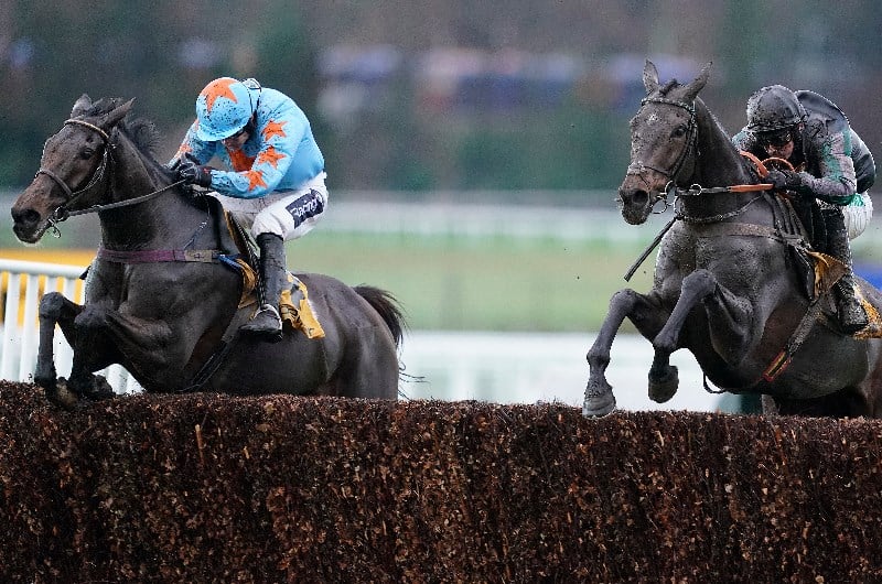 Tingle Creek Chase Live Stream How to watch this important Grade One