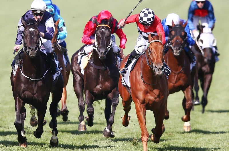 Perth Cup 2021 Barrier Draw - Perth Cup 2021 Final Field