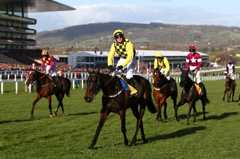 2021 Cheltenham Gold Cup Tips, AntePost Preview and Betting Tips