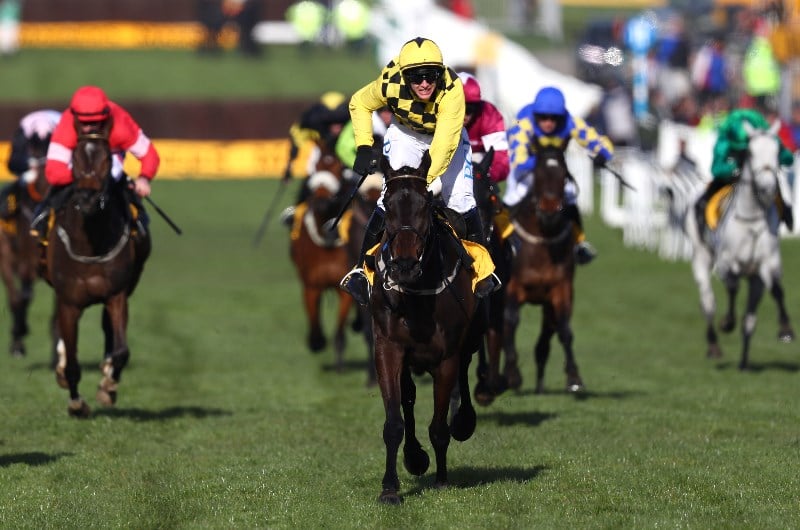 2021 Cheltenham Festival Schedule, Dates, Times and Cards.