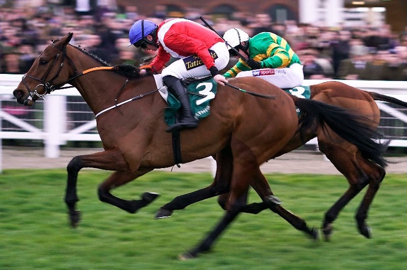 Champion Bumper Live Stream Watch the Cheltenham Festival live