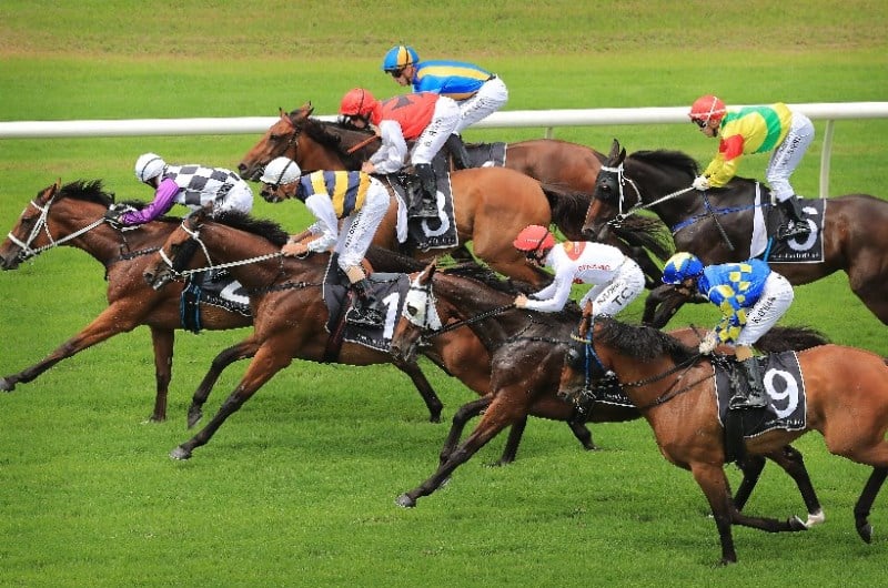 Queanbeyan Races Live Stream - Watch live Australian racing