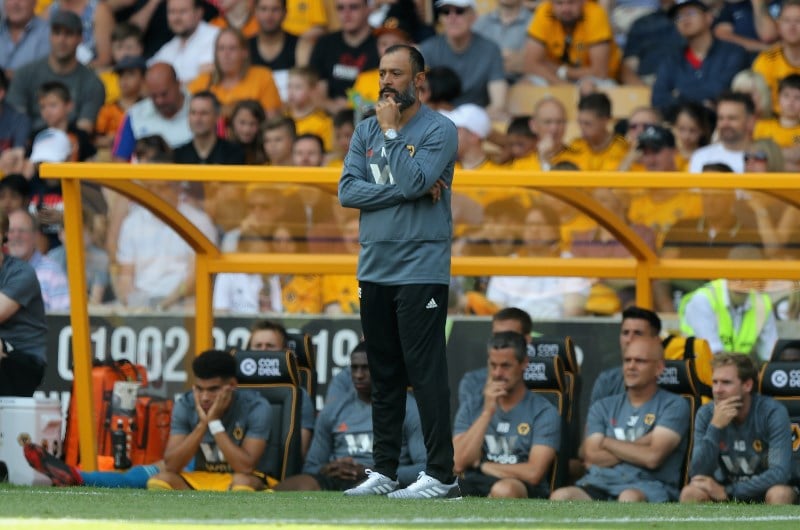 wolves-vs-brighton-predictions-betting-tips-preview-odds