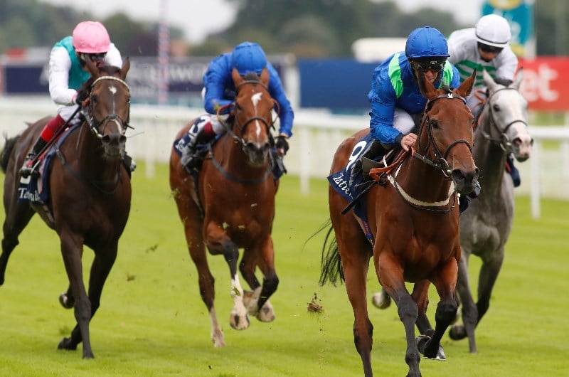 Musidora Stakes Live Stream - Watch the York race live