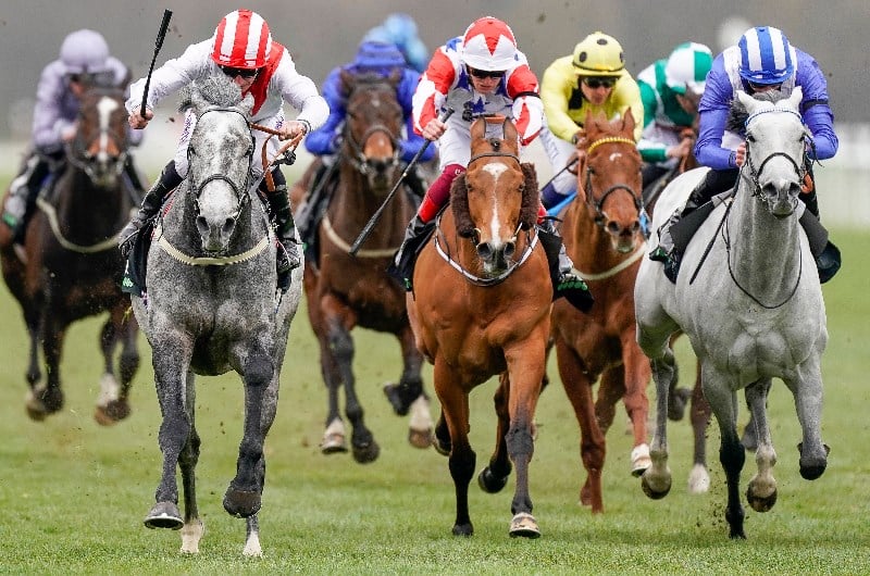 2021 Lockinge Stakes Tips, Odds and Predictions.