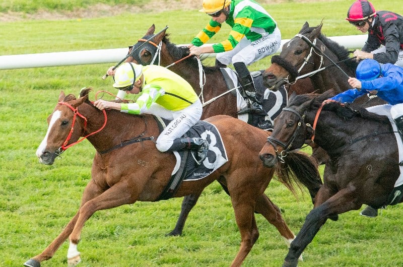 Big Saturday Bets For May 15 2021 - Bets.com.au - Big Bets have been placed