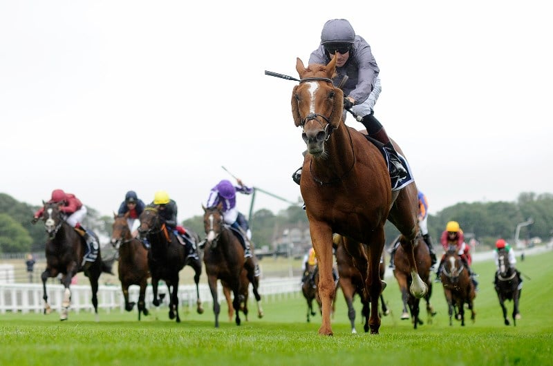 Epsom Derby Live Stream - Watch the Epsom race live