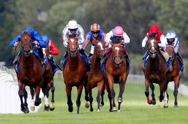CoralEclipse Stakes Live Stream Watch the Sandown race live