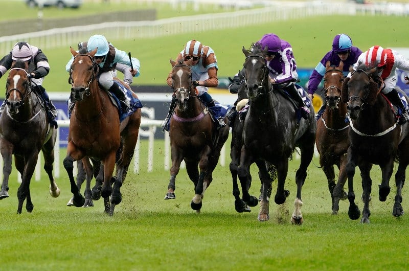 2021 Irish Oaks Tips, Odds and Predictions.