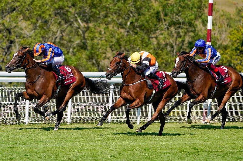 Nassau Stakes Live Stream Watch the Glorious Goodwood race live