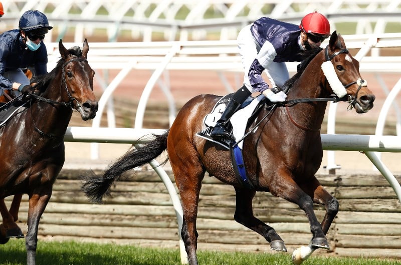 Melbourne Cup Acceptances Early Contenders Revealed