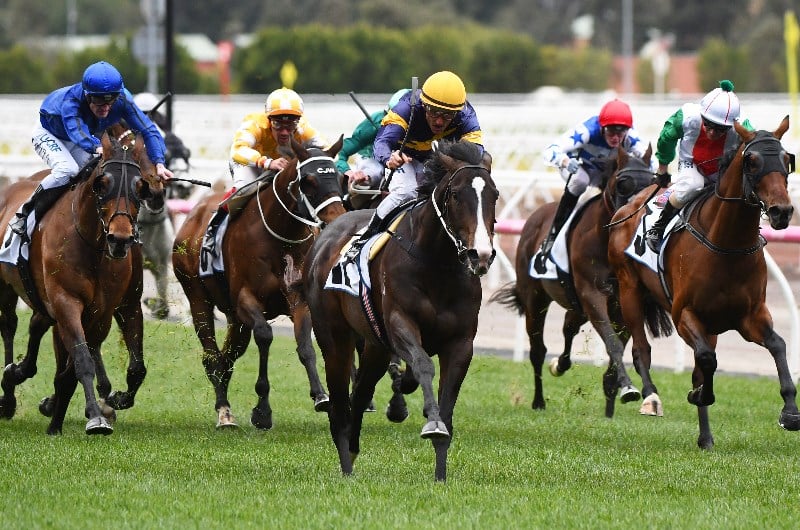 Makybe Diva Stakes Live Stream Watch the Flemington Group 1 streamed live