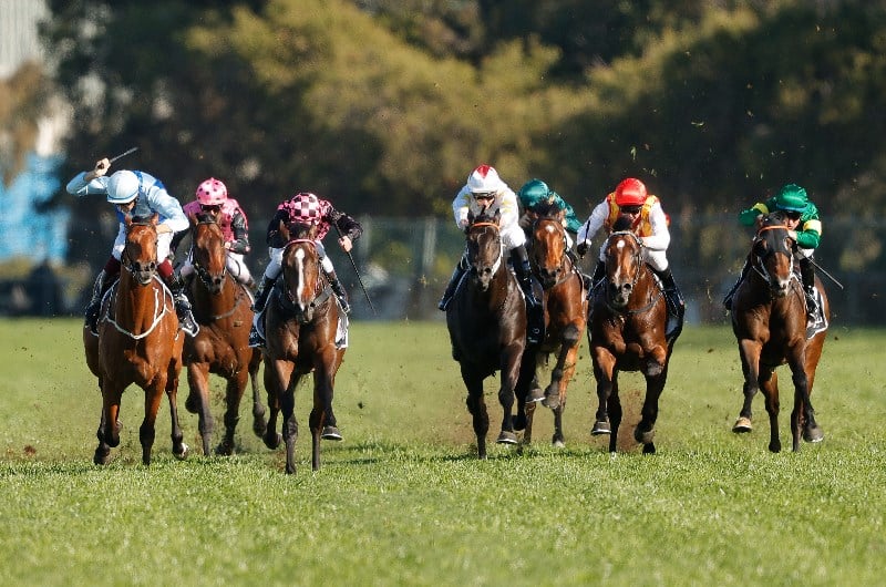 Run To The Rose Live Stream - Watch the Group 2 streamed live