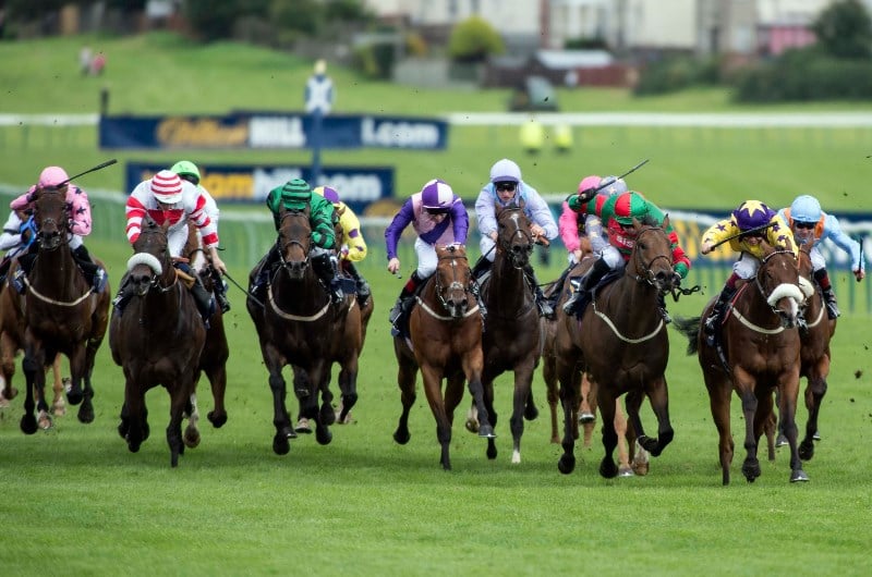 Ayr Gold Cup Live Stream - Watch the Ayr race live