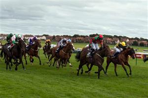 ayr gold cup