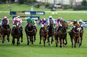 ayr gold cup