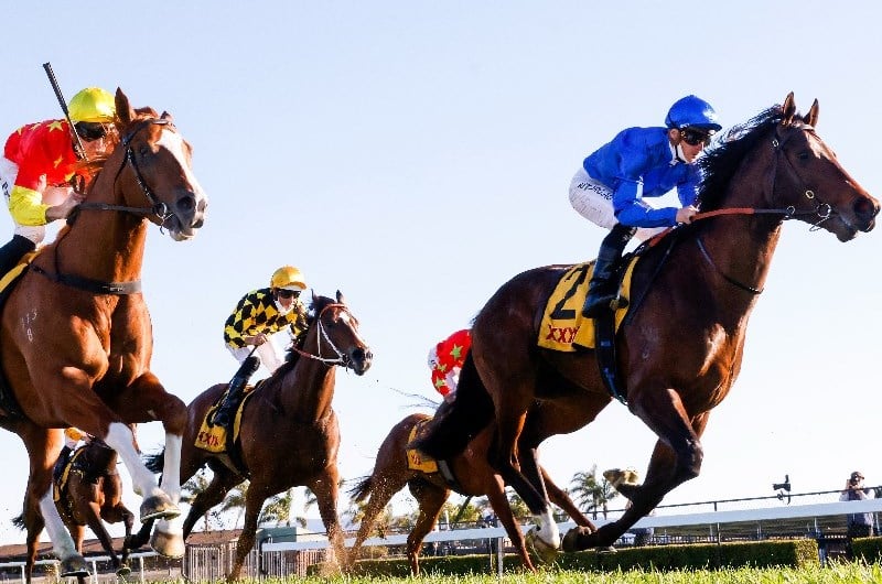 Caulfield Guineas Tips & Runner-by-Runner Preview