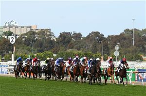 Melbourne Cup Live Stream Watch the 2021 Melbourne Cup live