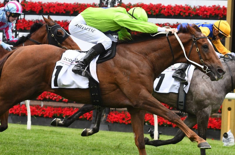 Cranbourne Cup Preview & Tips - Who will win the Listed feature?