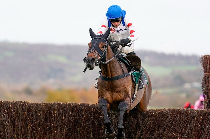 2021 Paddy Power Gold Cup Tips, Odds and Trends