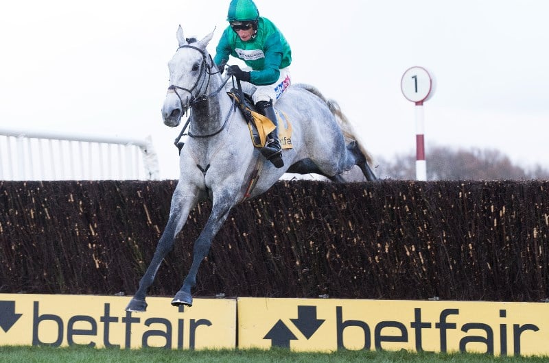 2021 betfair chase odds entries and runners