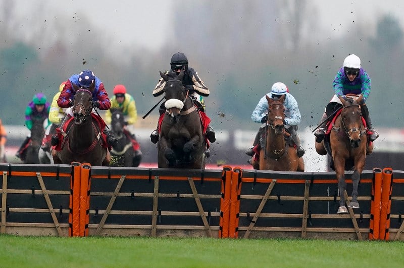 Long Distance Hurdle Live Stream - Watch the Newbury race live