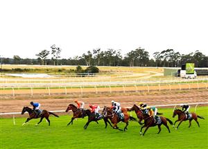 Warwick Farm Tips for 08.12.2021