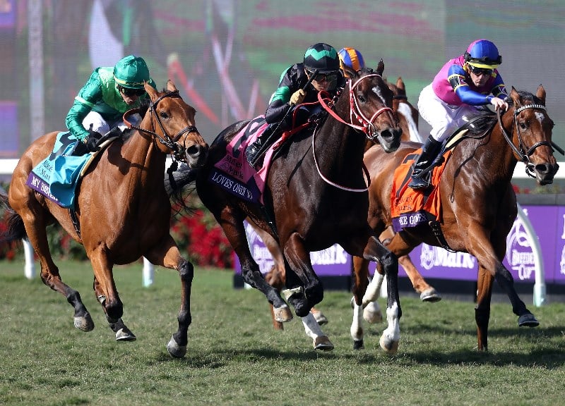 2021 Hong Kong Cup Tips, Betting Previews and Best Bets for the Group 1