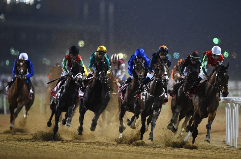 Meydan Tips Dubai World Cup Carnival Tips January 14th 6396