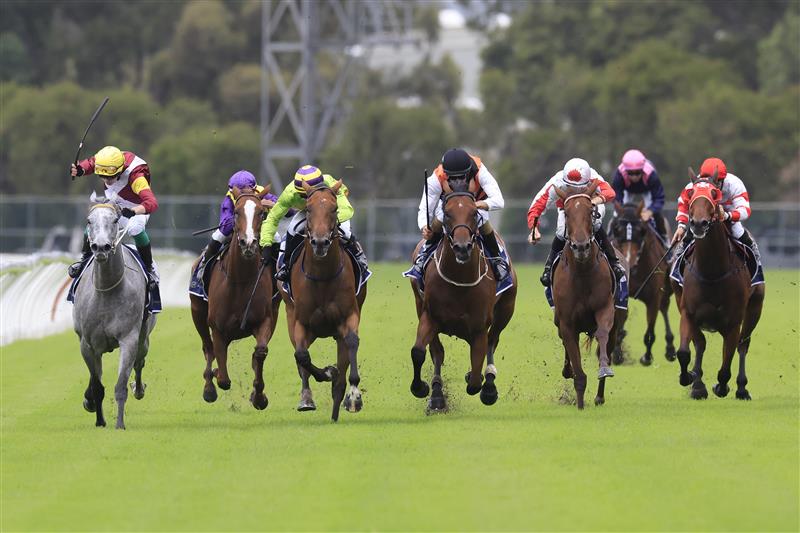 Rosehill Highlights Golden Slipper Day