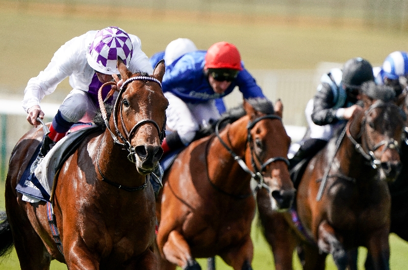 2000 Guineas Live Stream Watch the Newmarket race live