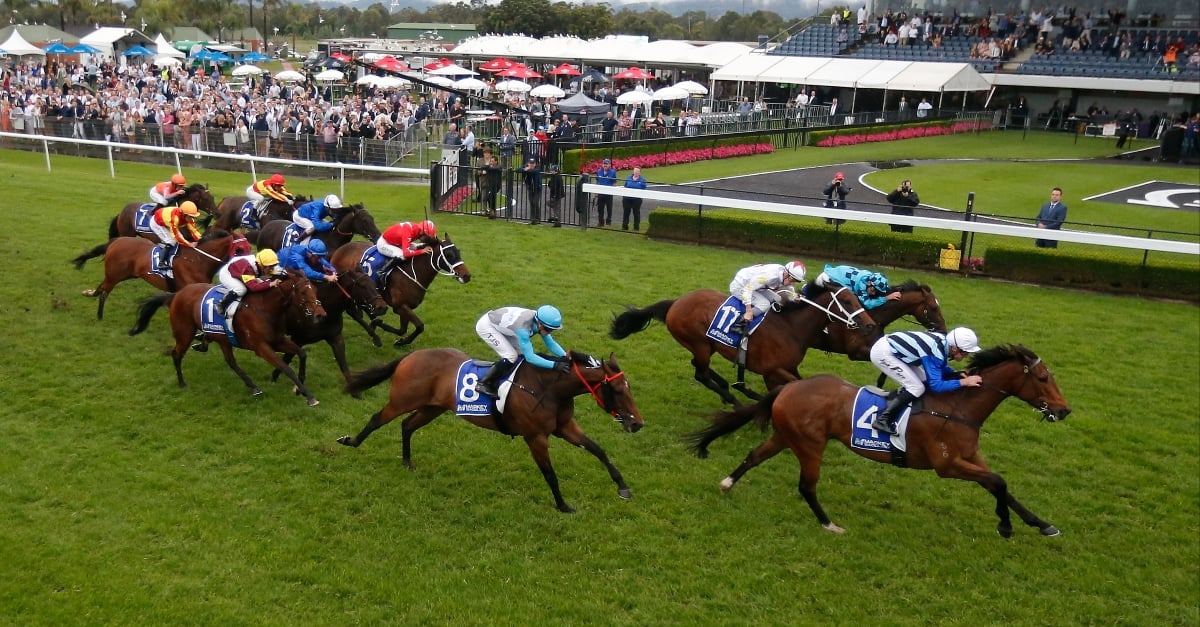 Kembla Grange Races Live Stream Watch live Australian racing