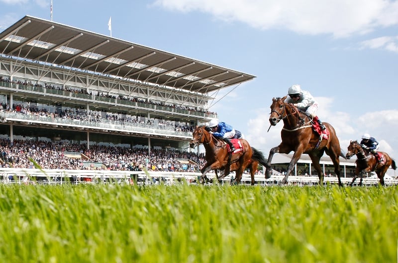 2022 Dante Stakes Tips | Best bets at York on May 12