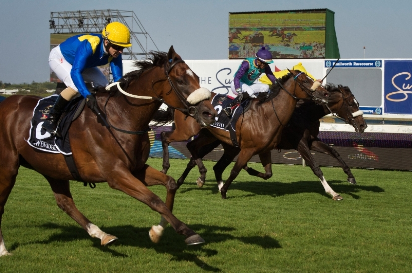 kenilworth horse racing tips