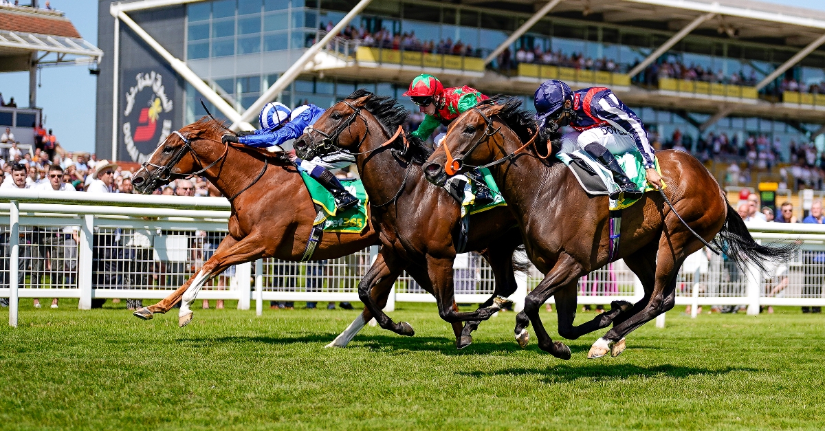 2022-royal-ascot-tips-long-odds-selections-at-royal-ascot