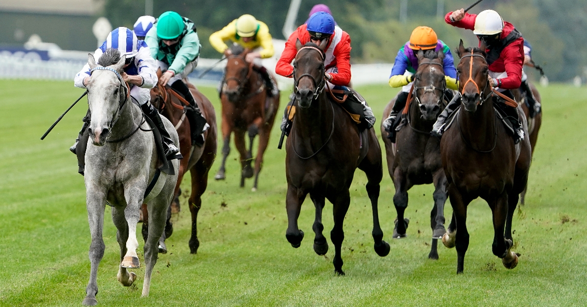 royal-ascot-2022-tips-royal-ascot-day-2-tips-june-15