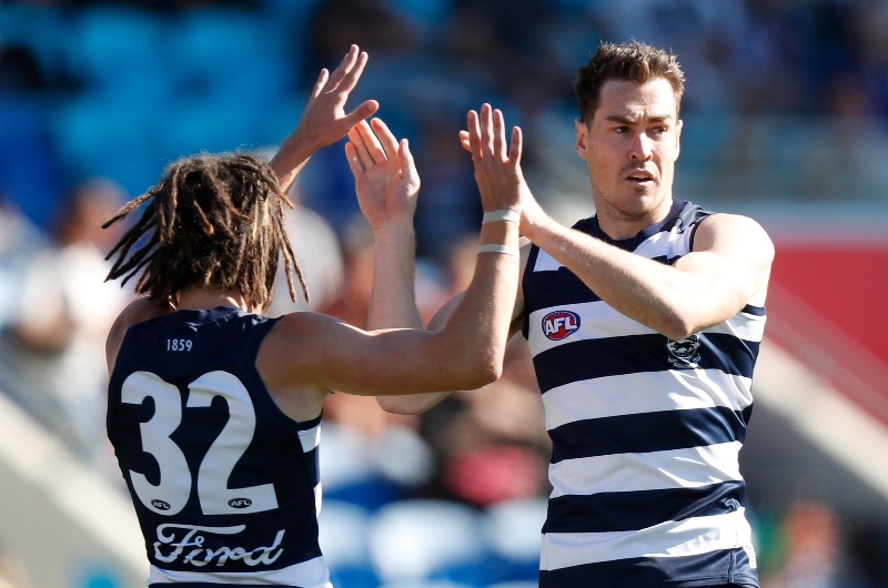 Geelong Cats Vs North Melbourne Predictions And Betting Tips